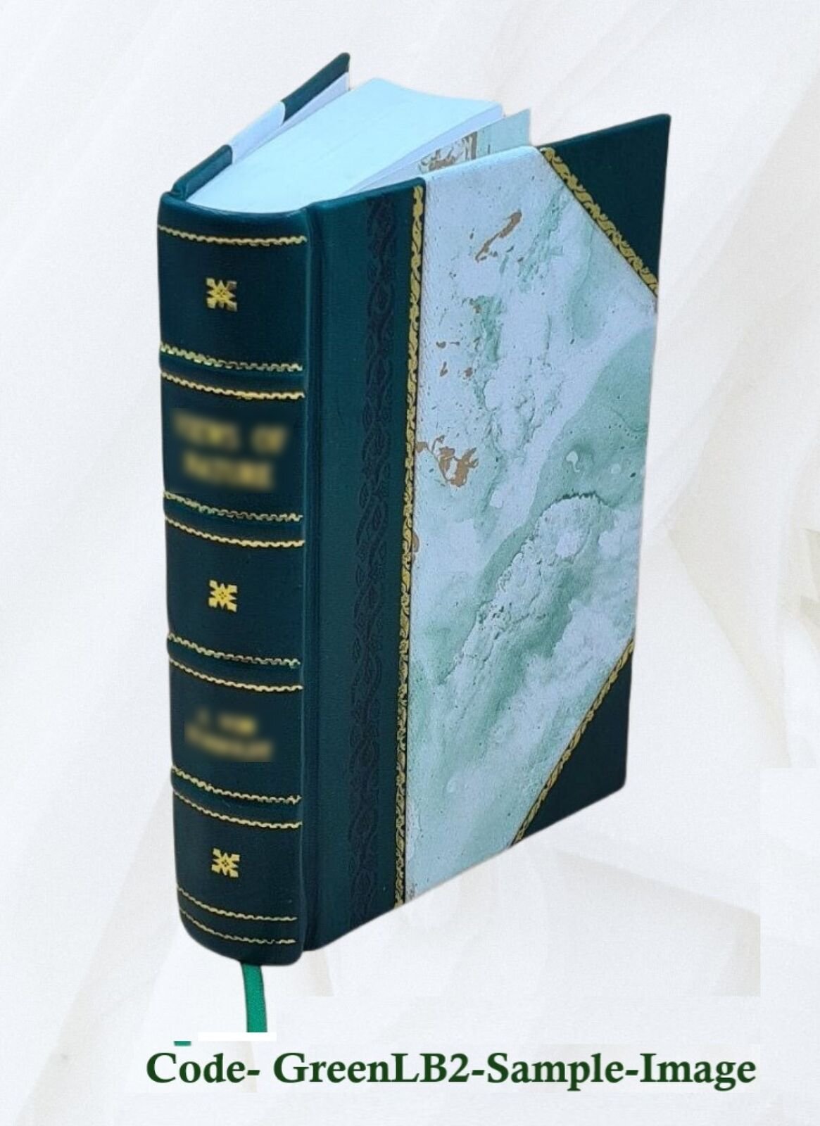 Buddhism Primitive And Present In Magadha And Ceylon 1908 [Leather Bound]