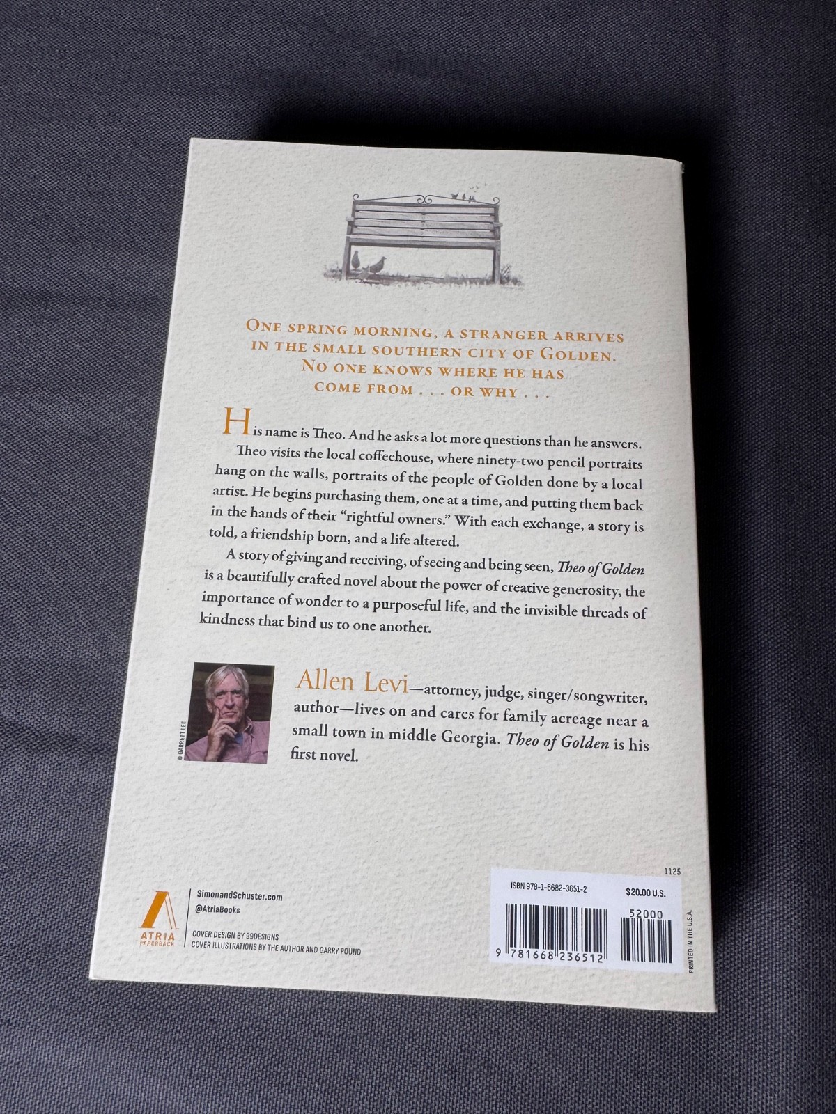 Theo of Golden Allen Levi Paperback Novel National Bestseller Literary Fiction