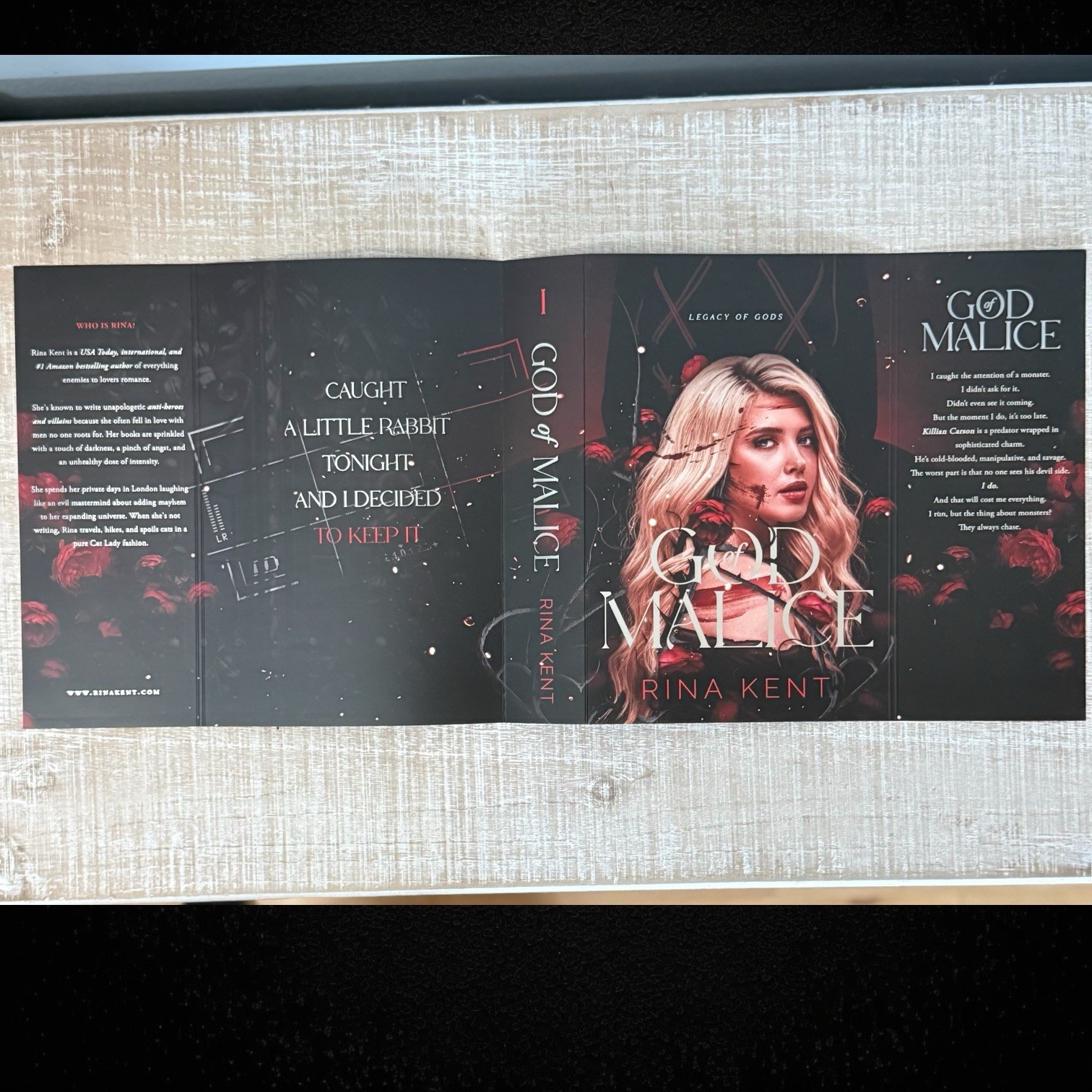 God of Malice by Rina Kent Alternative Dust Jacket Legacy of Gods