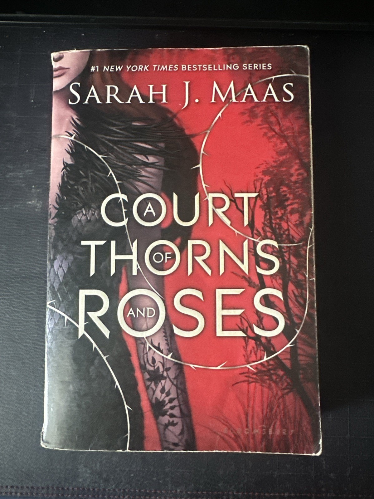 A Court of Thorns and Roses Sarah J. Maas Trade Paperback Original Cover ACOTAR