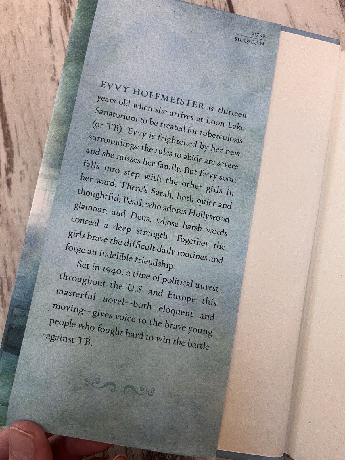 Breathing Room by Marsha Hayles – Gently Used Hardcover, 244 Pages, Young Adult