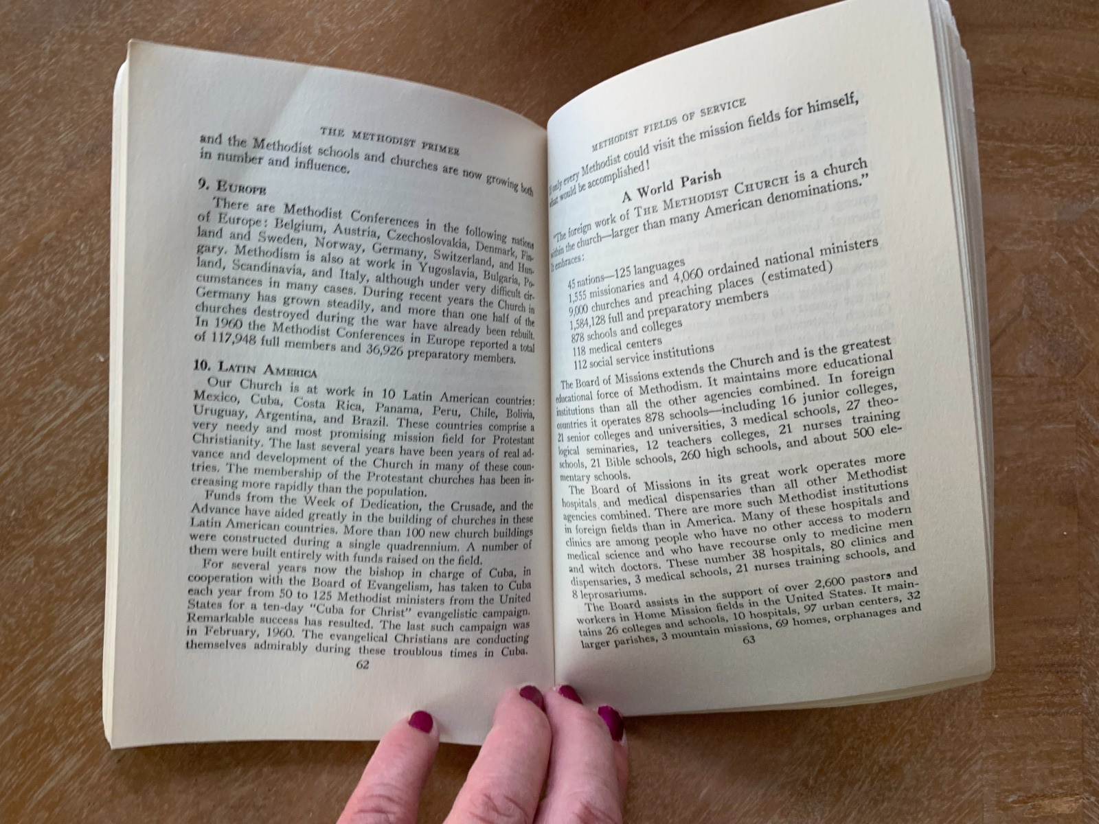The Methodist Primer [Paperback] (no author)