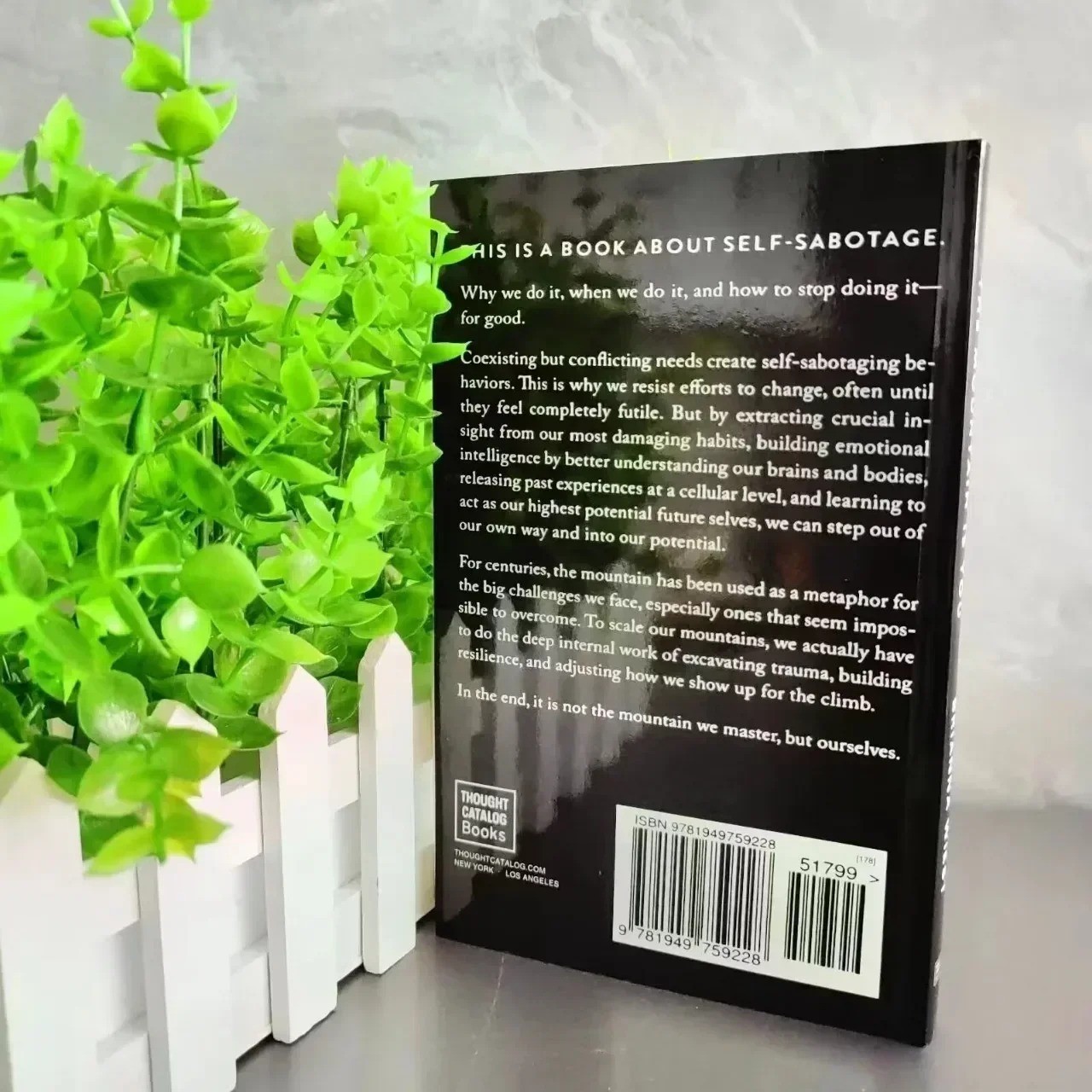 The Mountain Is You: Transforming Self-Sabotage into Self-Mastery Mindset Guide