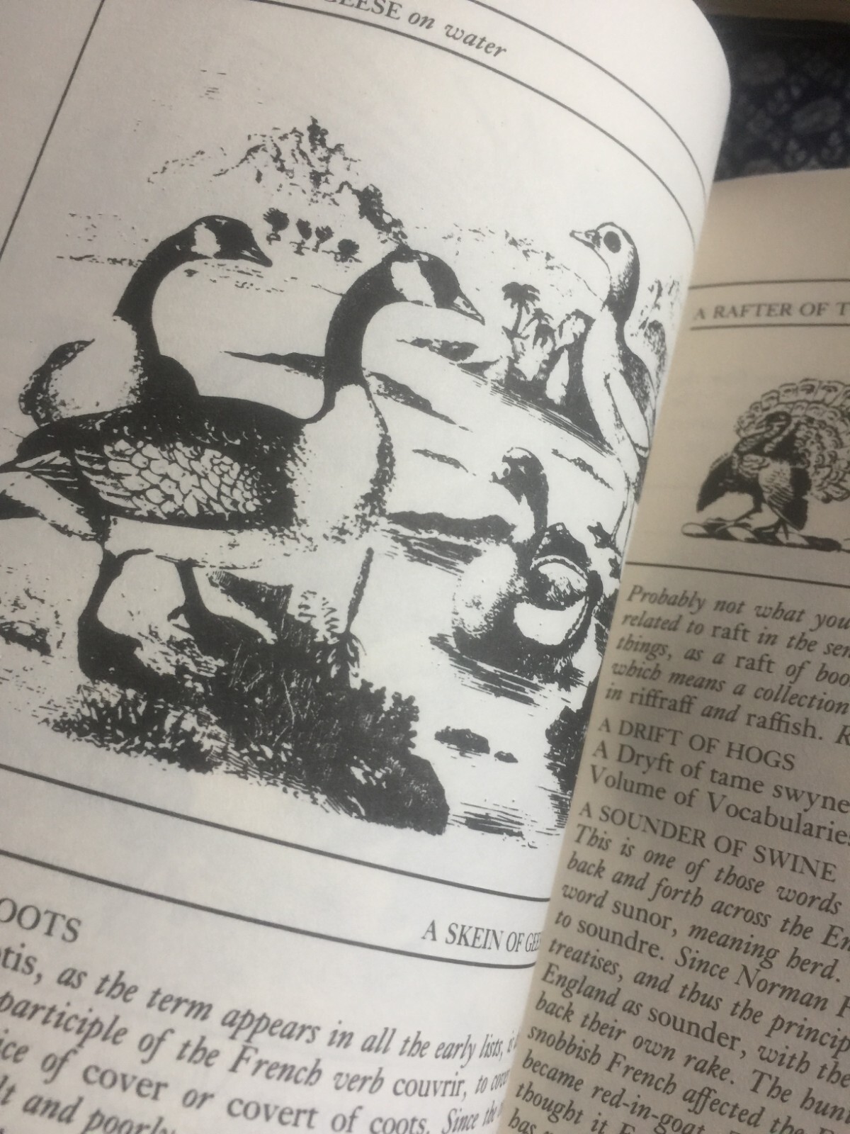 An Exaltation of Larks: The Ultimate Edition – Illustrated 336 pages