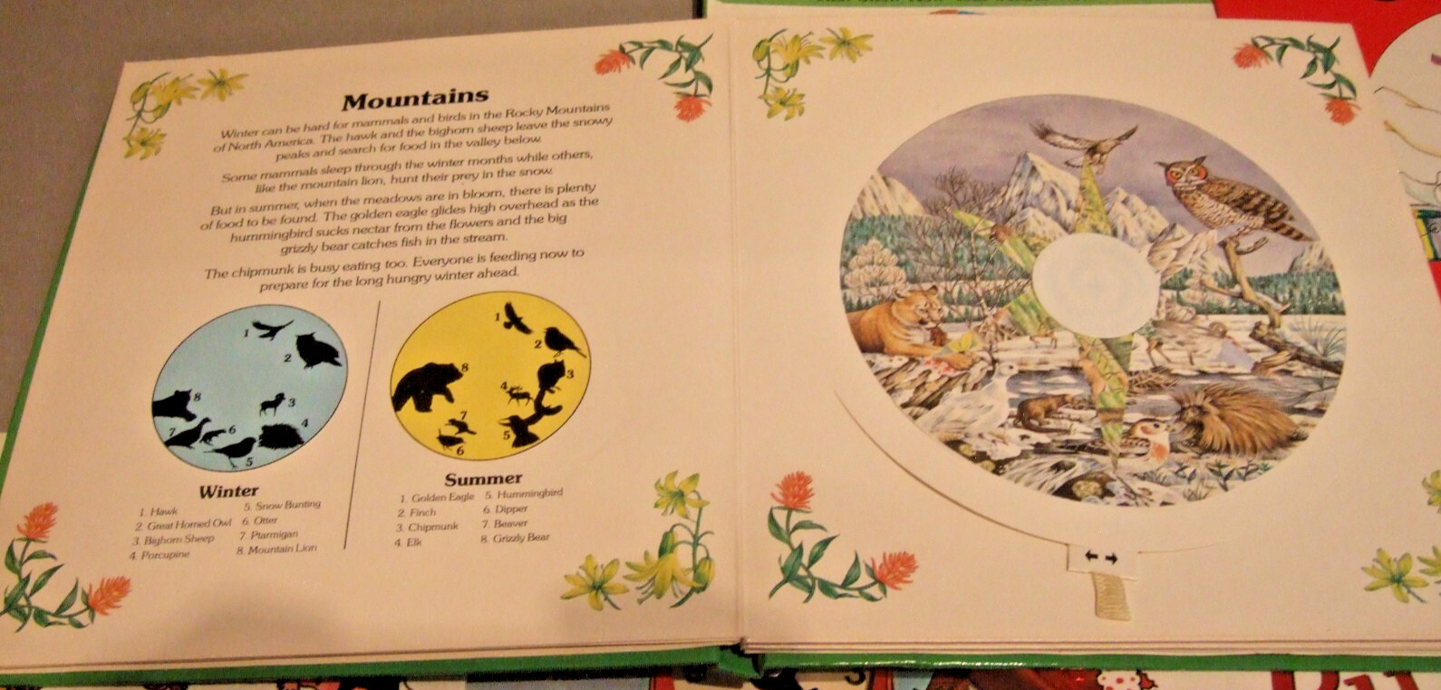 7 CHILDREN’S BOOKS LOVE BUGS, WHOSE HOUSE, AMAZING SENSES, CLOCK SHOP, 10 IN