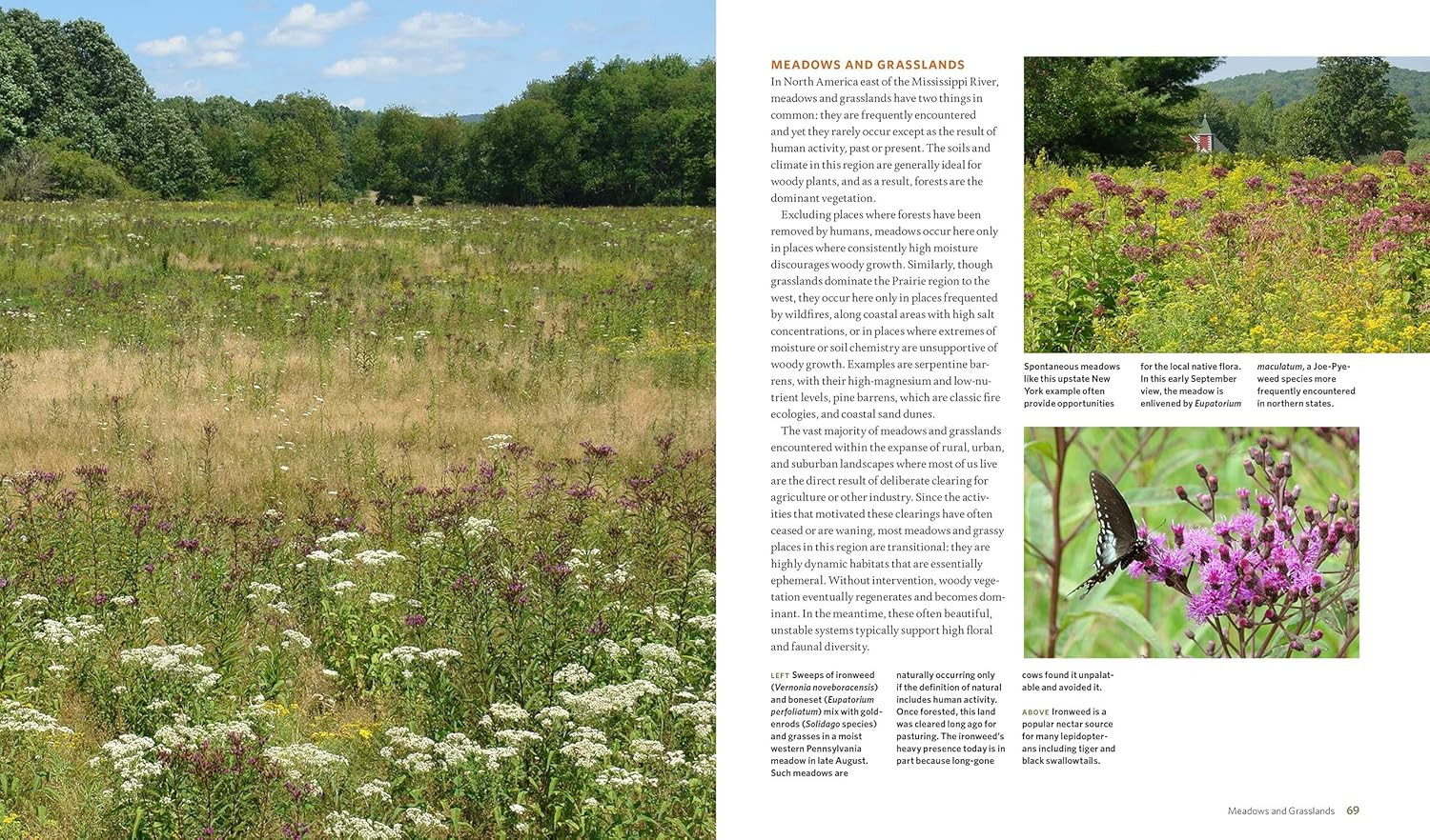 The Living Landscape: Designing for Beauty and Biodiversity in the Home Garden