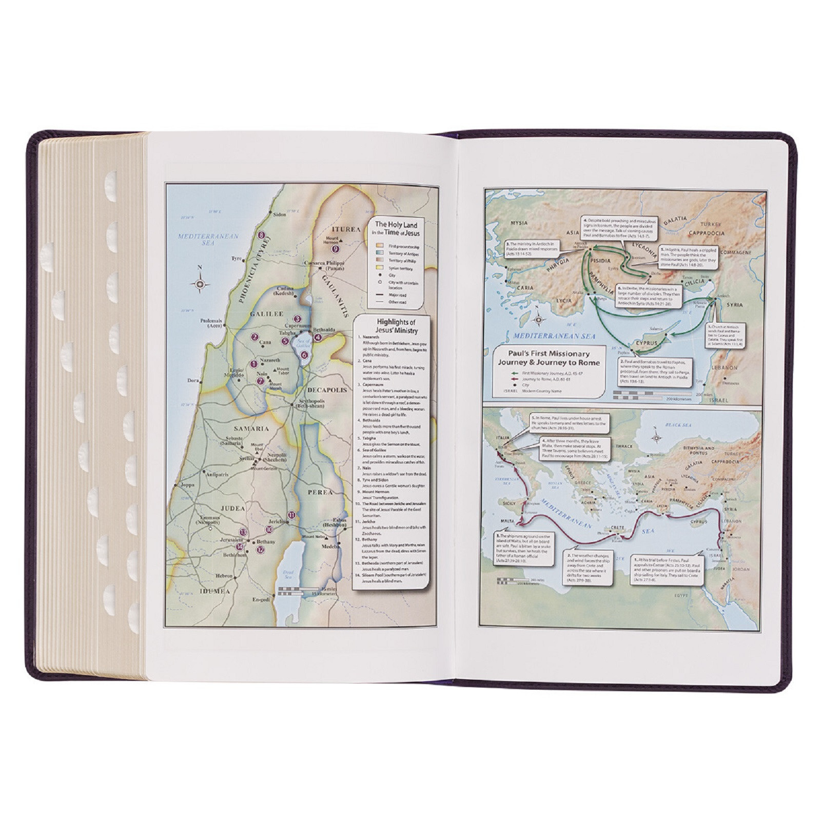 KJV Bible Giant Print 14 Point Purple Thumb Index BRAND NEW in Shrink Wrap!!!