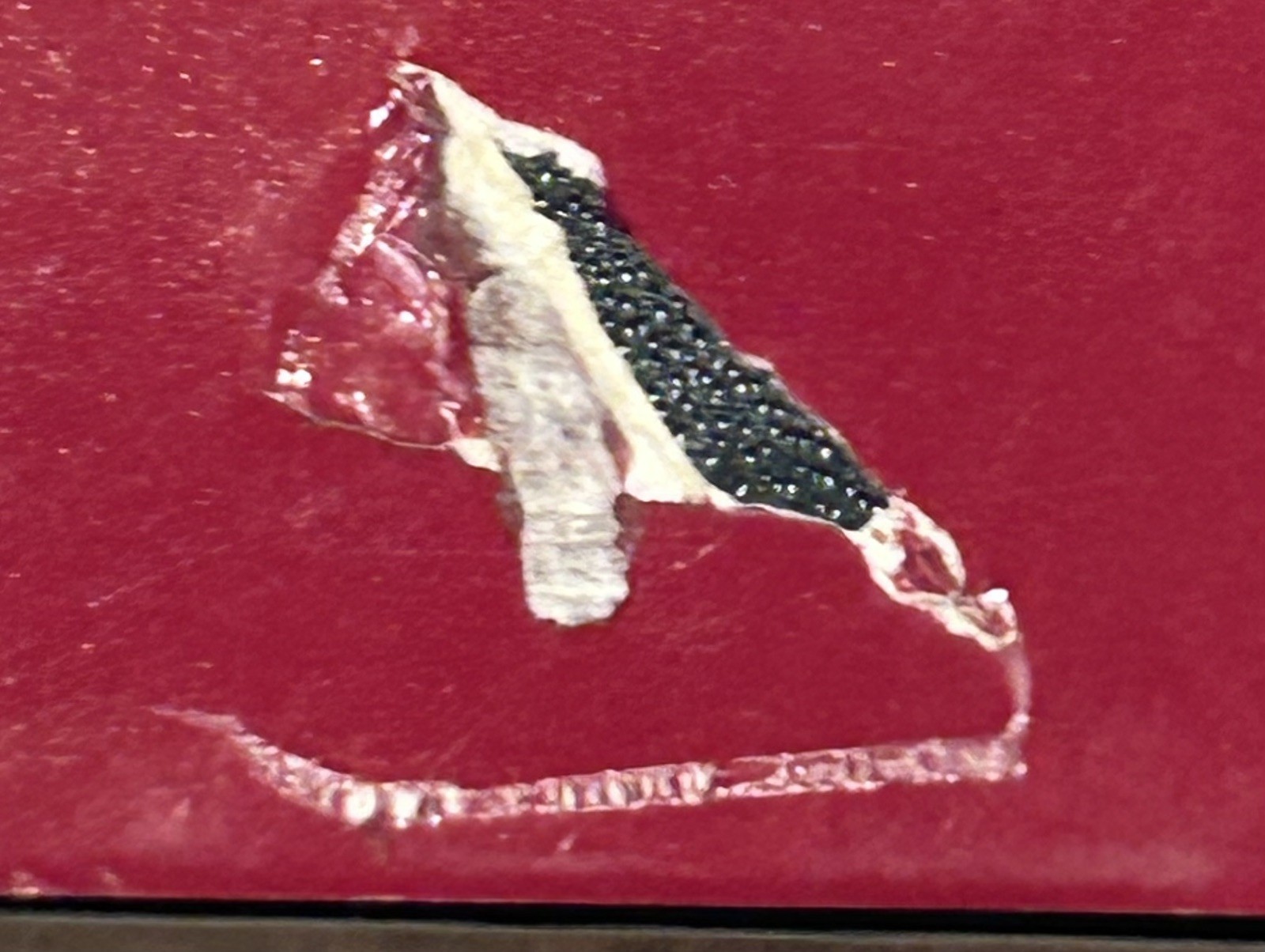 Martha Stewart’s Hors D’oeuvres: 1st Edition Amazing Shape With Dust Jacket