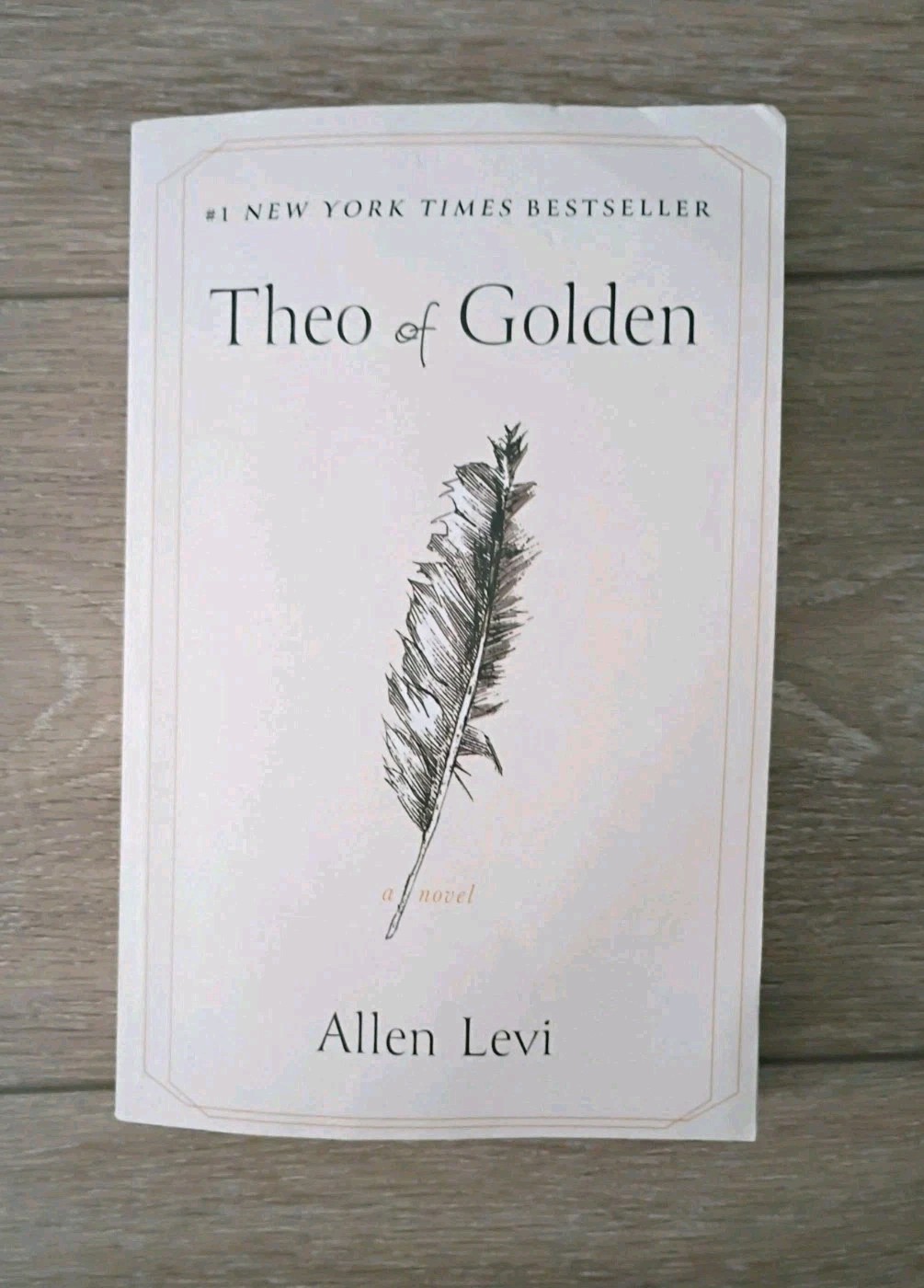 Theo of Golden: A Novel – Paperback Book by Levi Allen EXCELLENT