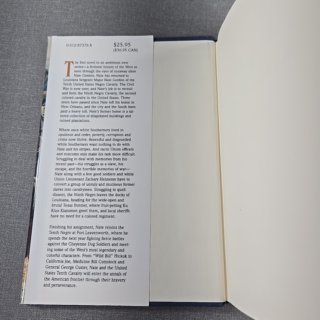 Buffalo Gordon J P Sinclair Lewis 2001 Vintage Hardcover Book HCDJ