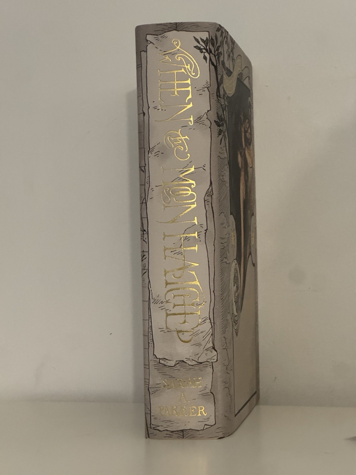When The Moon Hatched SIGNED Deluxe Special Edition Hardcover Aus Sarah A Parker