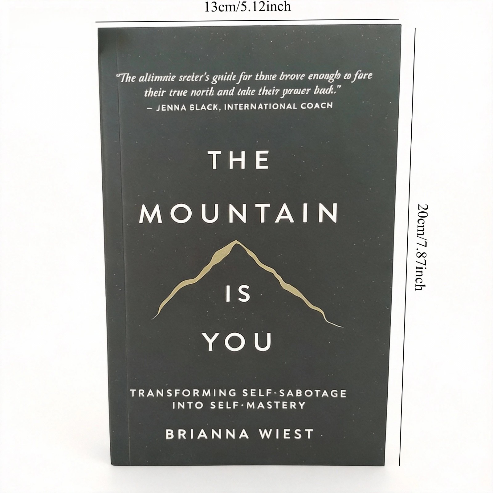 The Mountain Is You: Transforming Self-Sabotage Into Self-Mastery AU