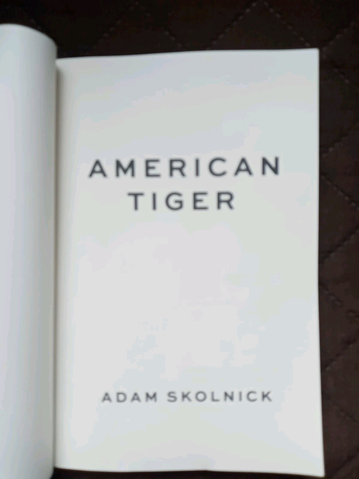 American Tiger by Adam Skolnick Trade Paperback Brand New 2026