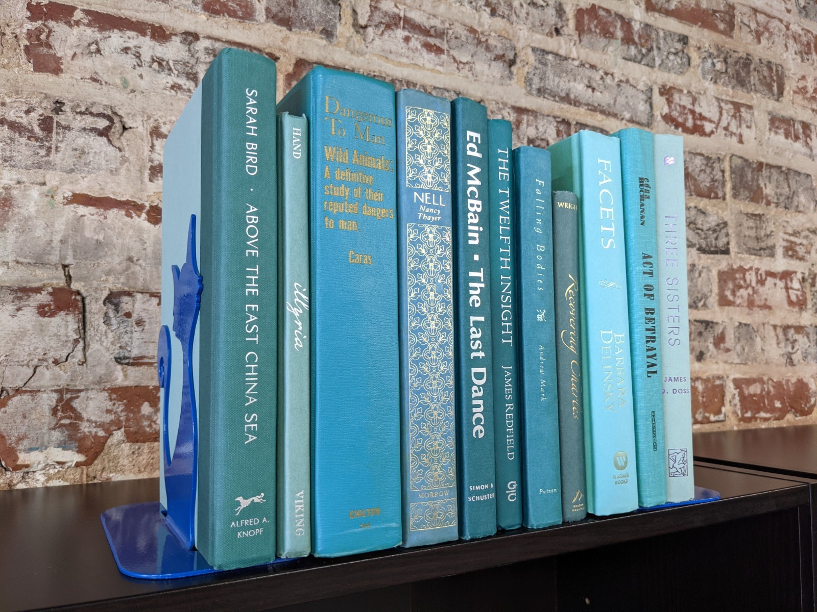 Books by the Foot | Color-Coordinated Decorative Hardcover Books, Decor, Staging