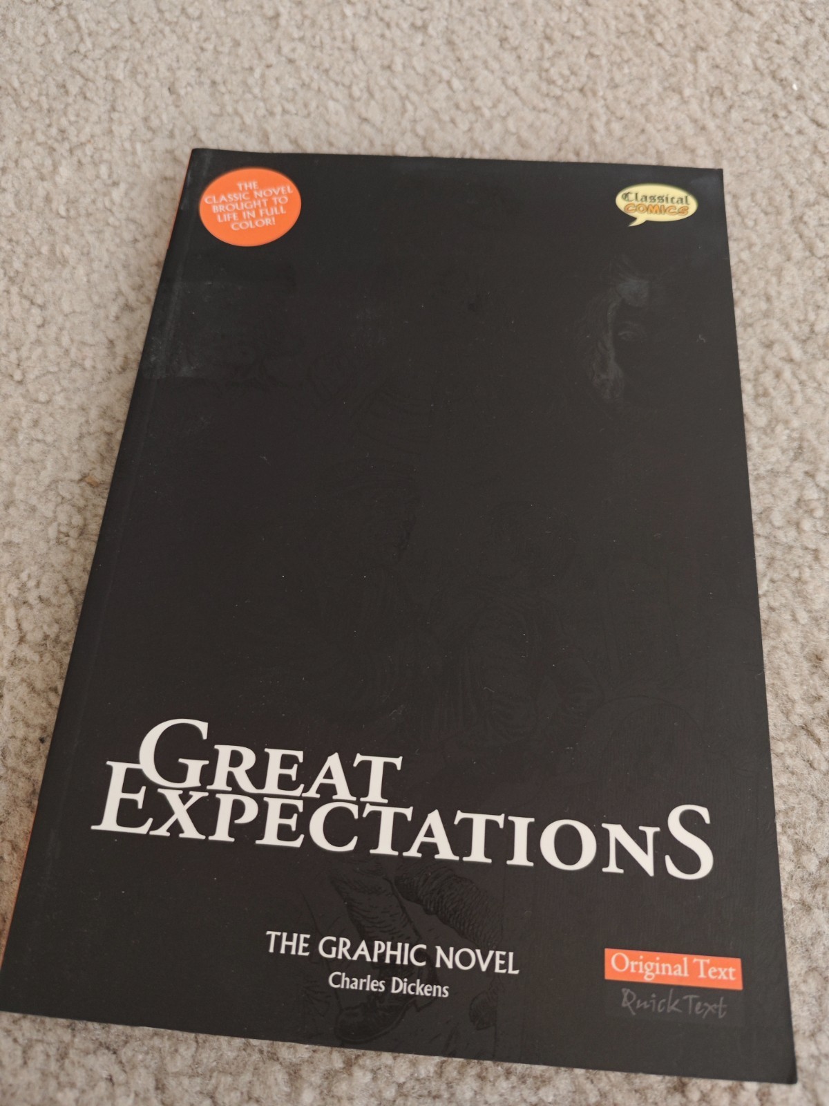 5x Graphic Novel Great Expectations Pride Prejudice Emma Sense Sensibility Oz
