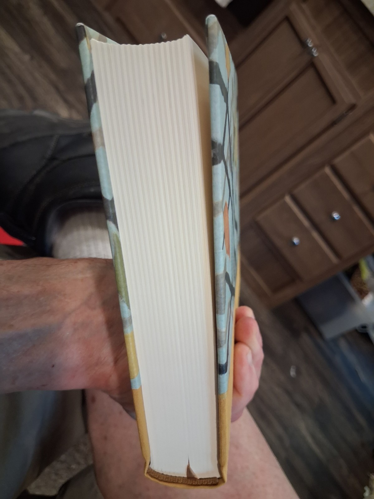 ESV Journaling Bible (Autumn Song) Birds Crossway New? Blank Read Slip Case