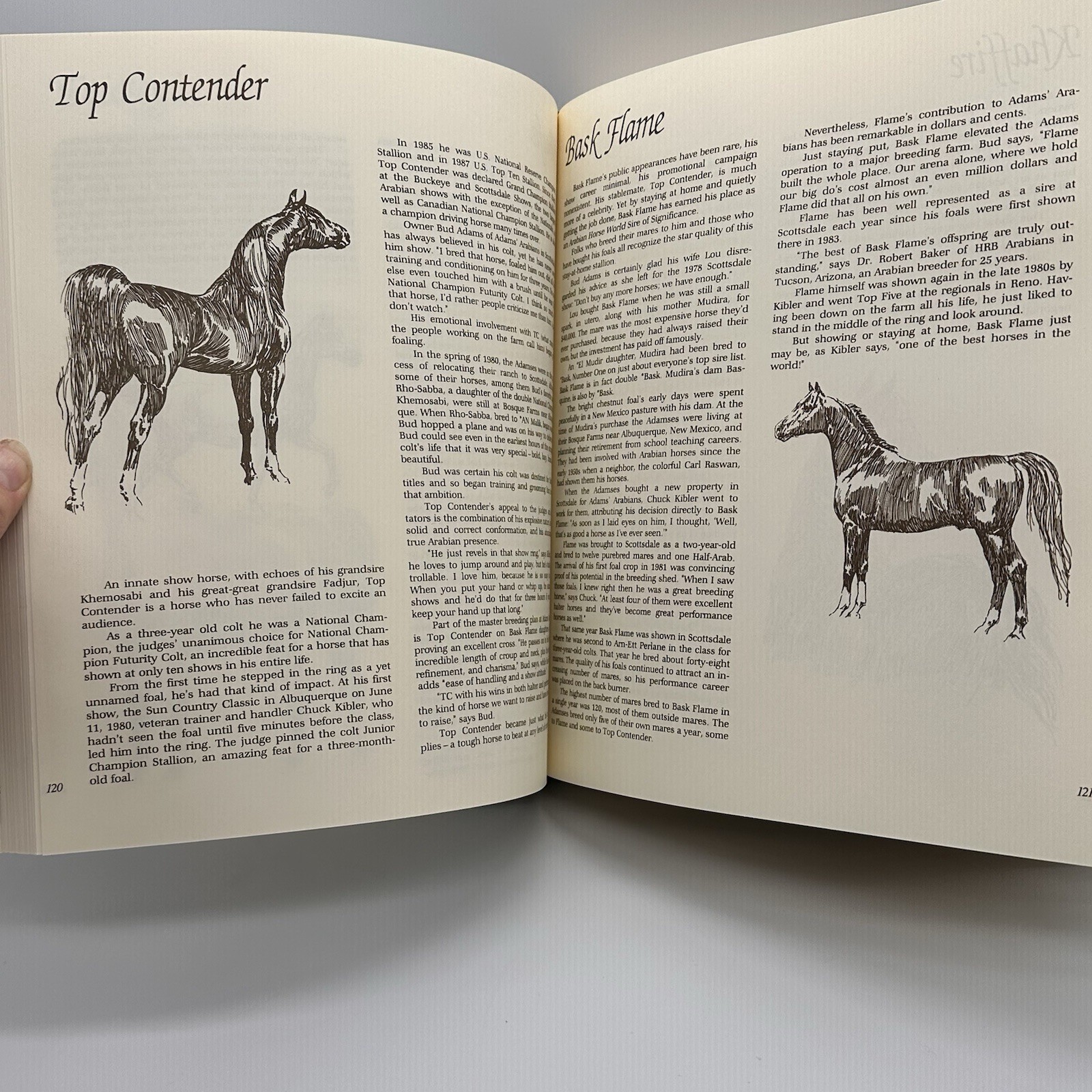 Classic Book of Horses Robert Vavra’s 1st Edition 1992 Hardcover DJ 359 Pages.