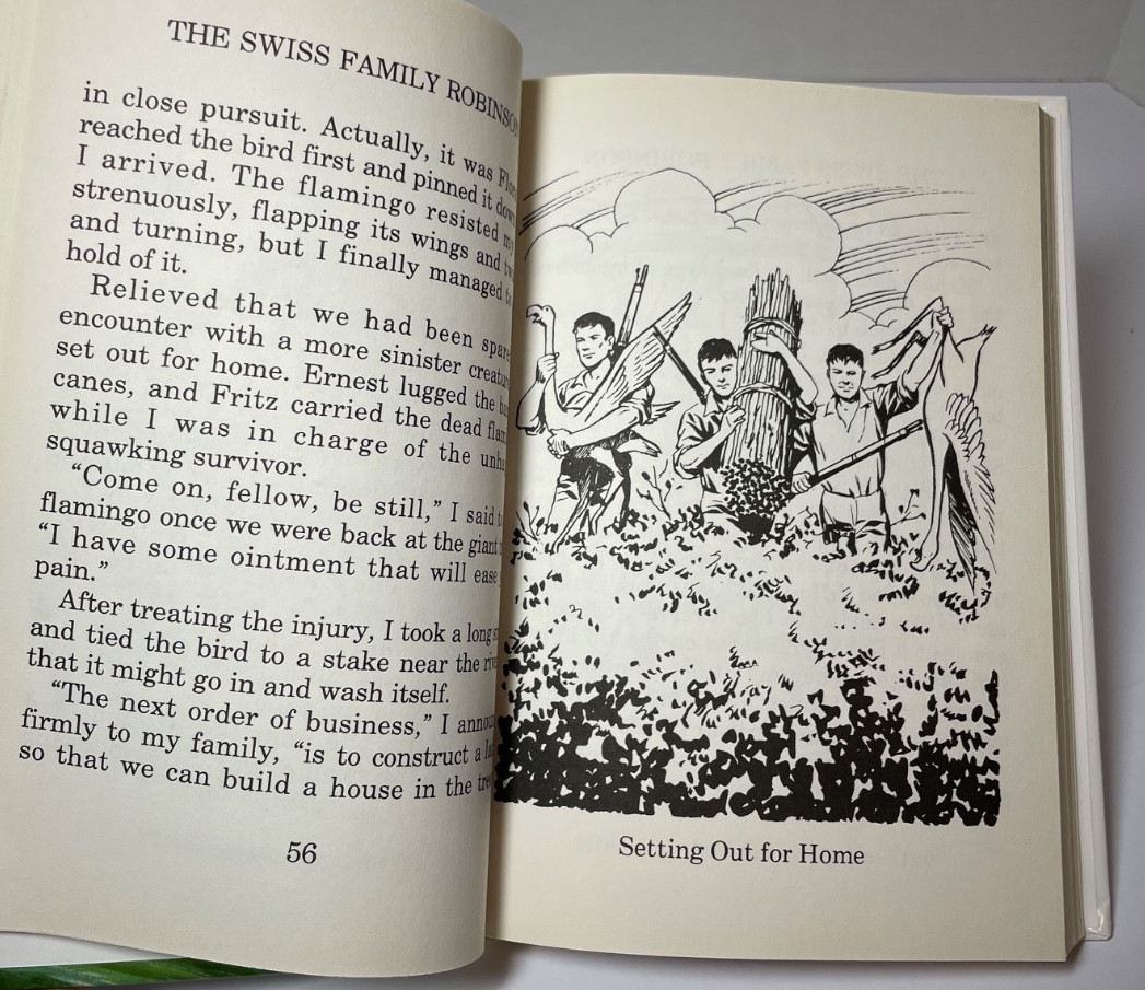5 Great Illustrated Classics Wizard of Oz Robin Hood Gulliver’s Travels Swiss
