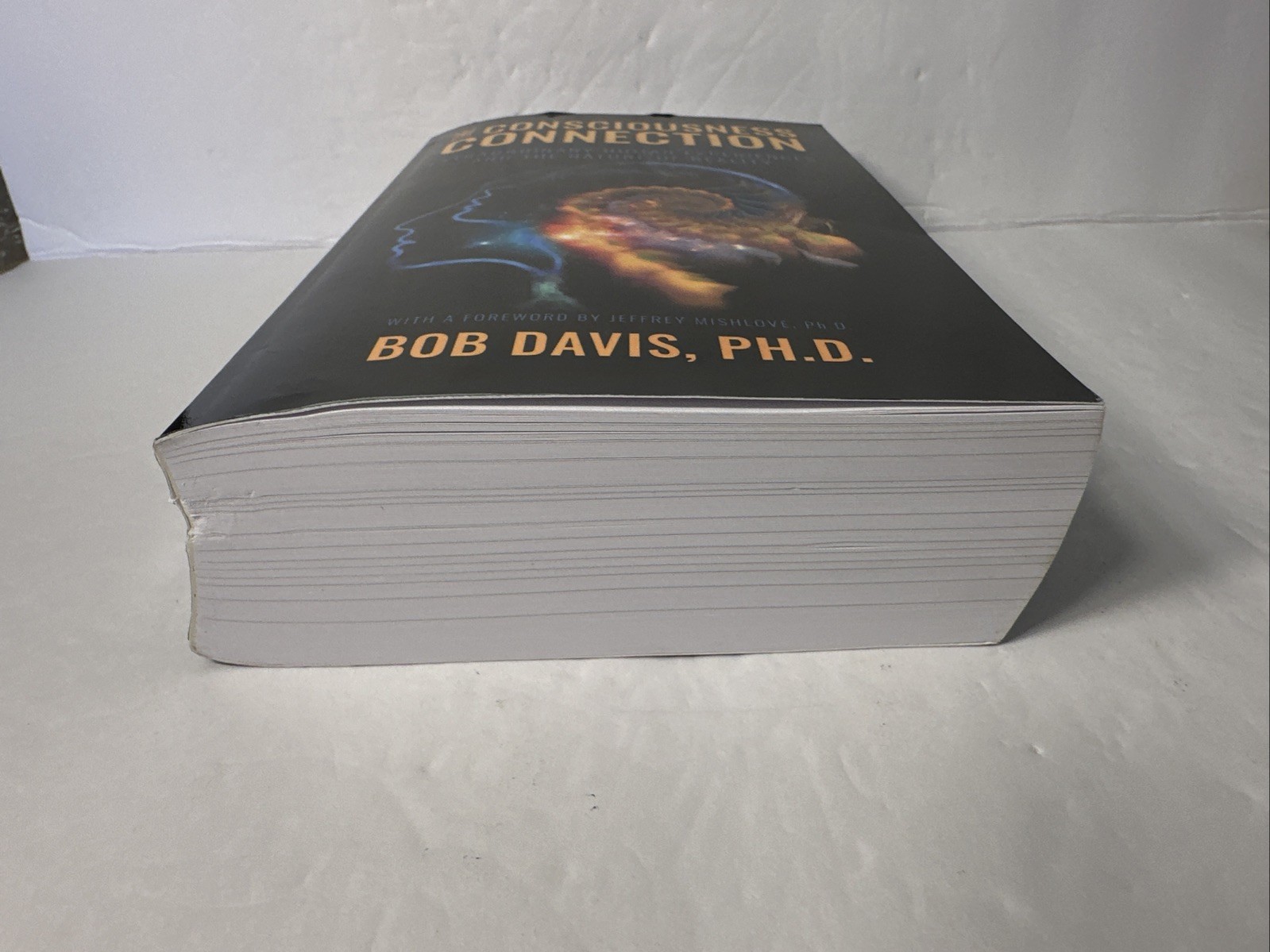 The Consciousness Connection by Bob Davis (Paperback, 2024, UNMARKED!)