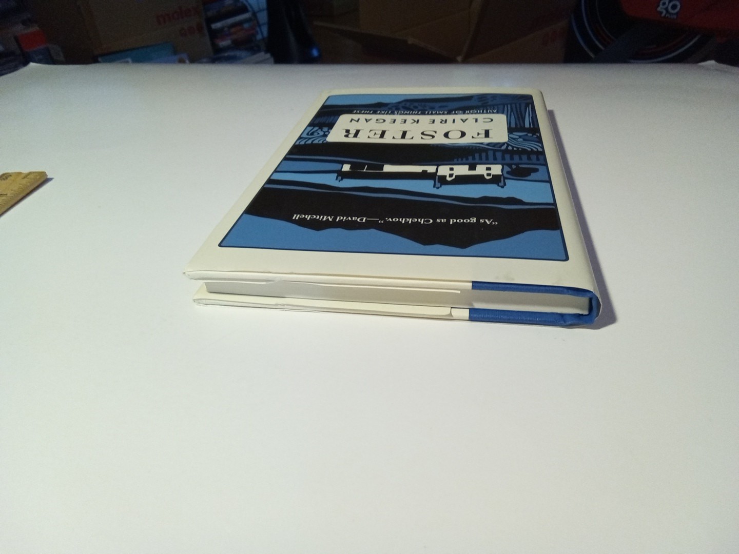 FOSTER – CLAIRE KEEGAN ( FIRST GROVE ATLANTIC PRINTING NOV. 2022 HC SOLD AS IS