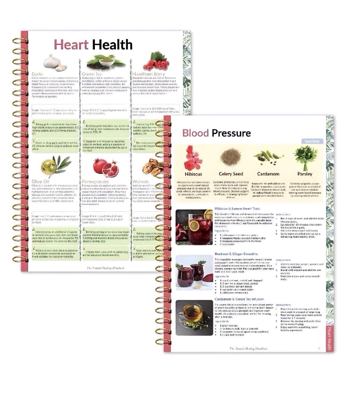 The Natural Healing Handbook Spiral-Bound Simple Recipes & Remedies Homeopathic