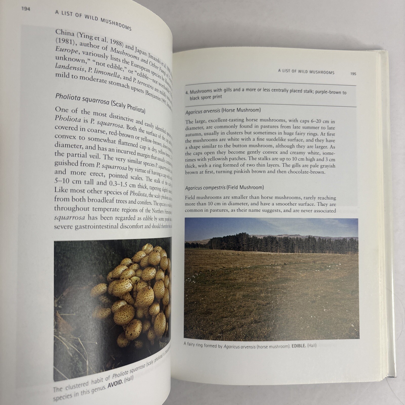 Edible and Poisonous Mushrooms of the World by Hall, Stepheson, Buchanan, Yun