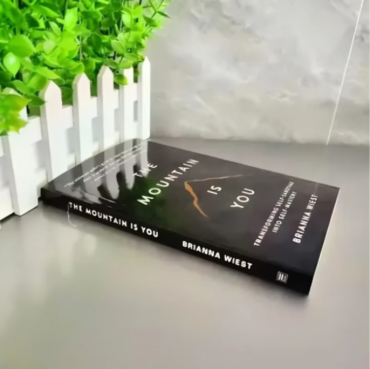 THE MOUNTAIN IS YOU BY BRIANNA WIEST PAPERBACK FREE SHIPPING