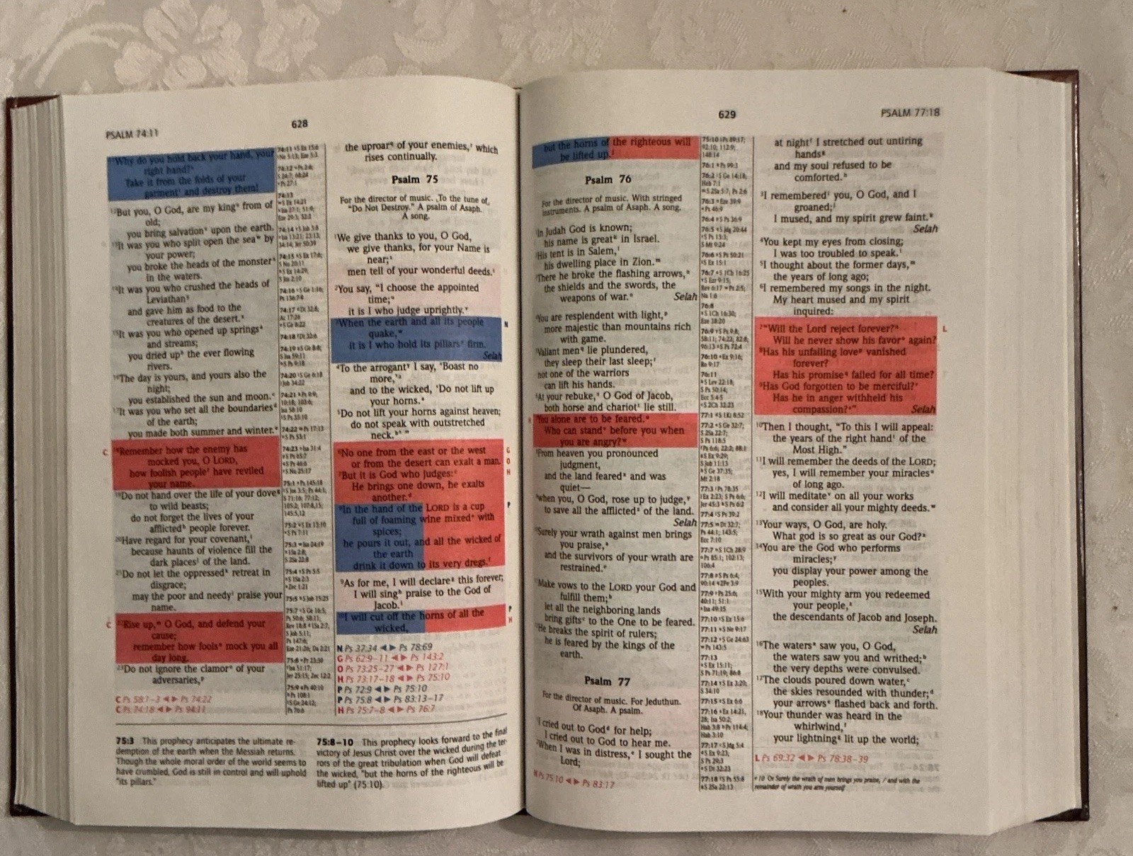 NIV Prophecy Marked Reference Study Bible 1998 Hardcover