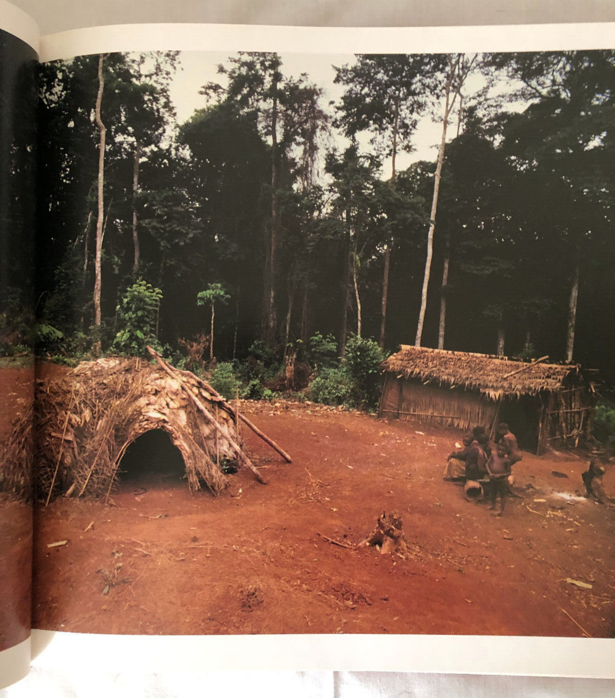 JOCELYNE ETIENNE-NUGUE Crafts and Arts of Living in the Cameroon HB 1982 Ilustra