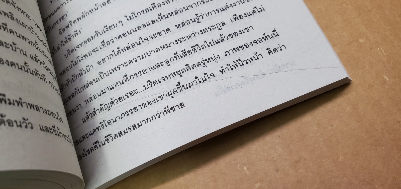 Thai Language #36; novel, romance paperback; see scans for title..author