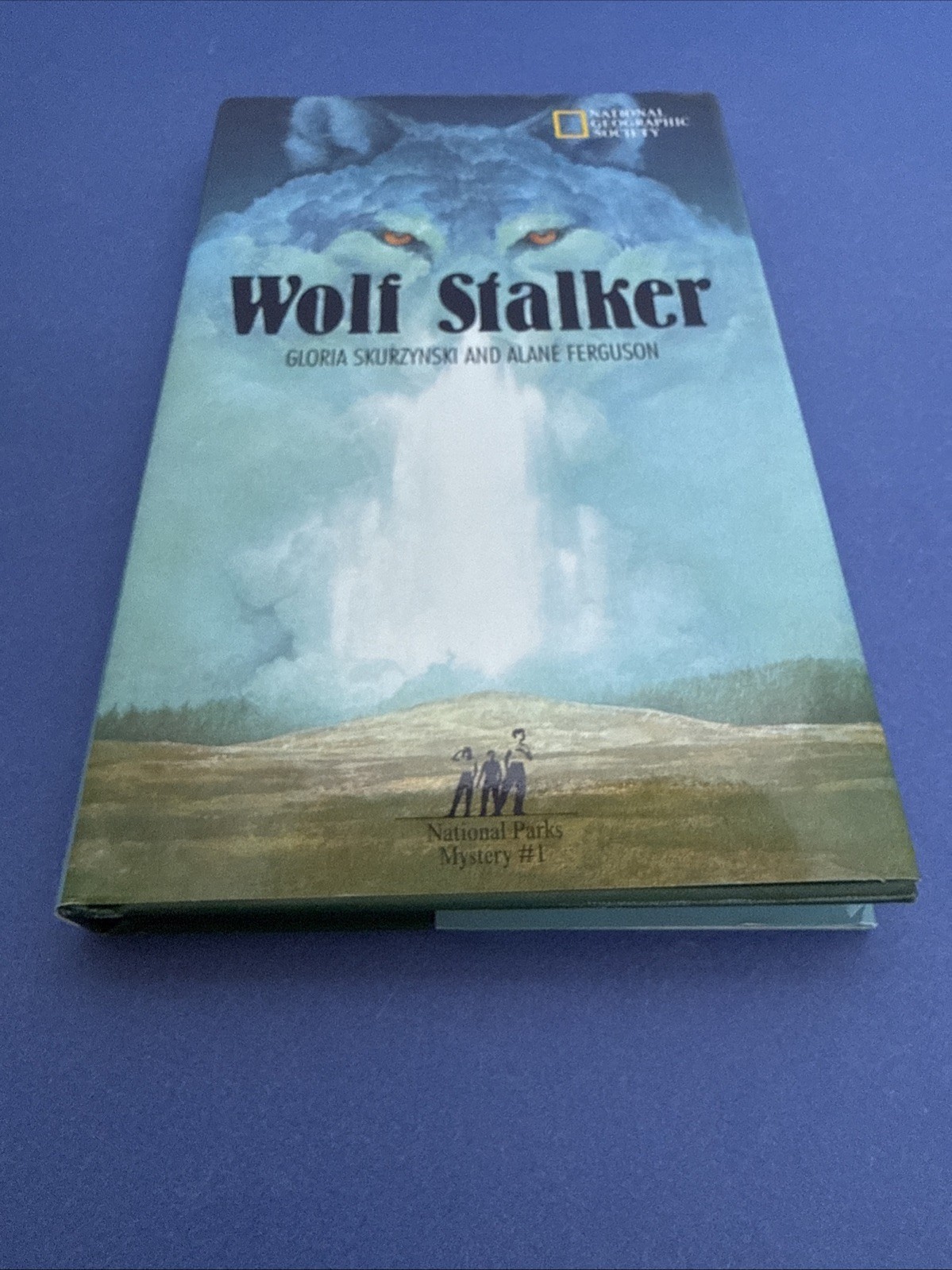 Lot of 10 ~ Hardcover Books ~ MYSTERIES IN OUR NATIONAL PARKS ~ #1-10 ~ VGC!