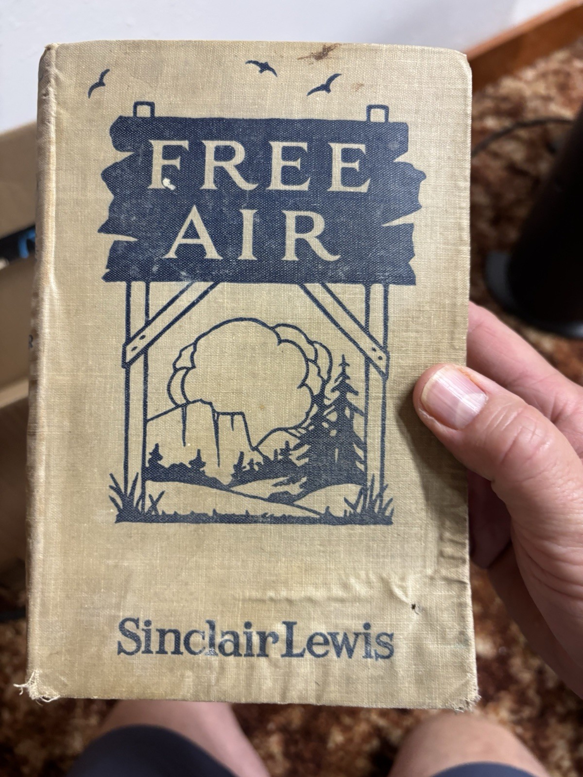 Free Air by Sinclair Lewis 1919 First Edition