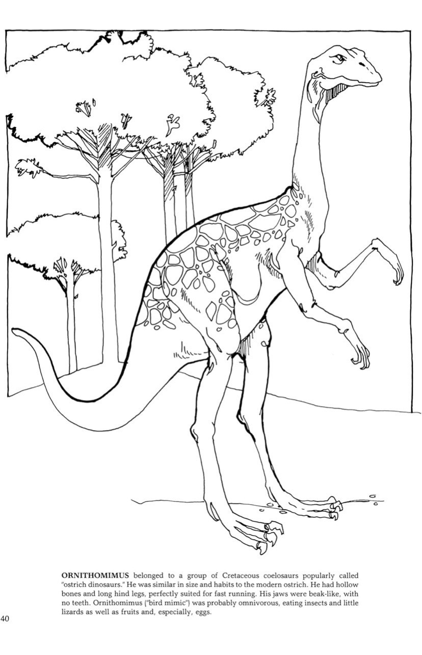 Jurassic World Scientifically Accurate Educational Dinosaur Coloring Book