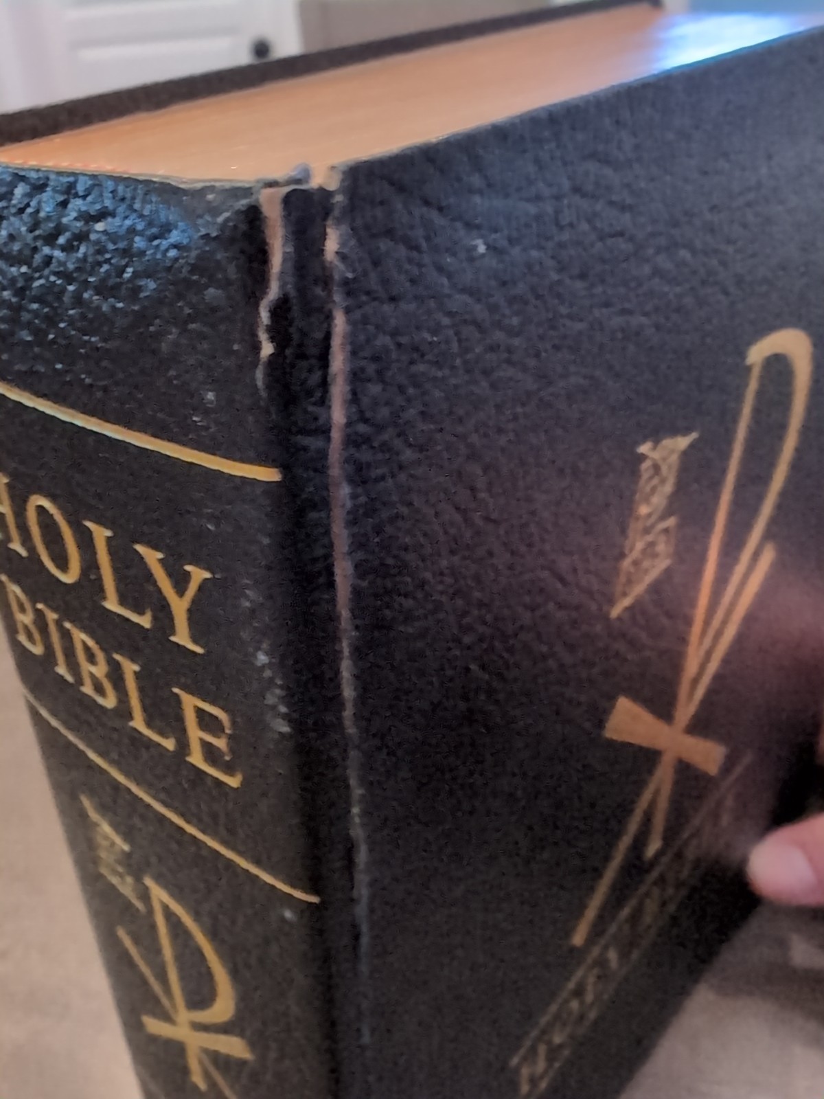 The New American Bible Special Family Edition Triple Column Catholic Press-world
