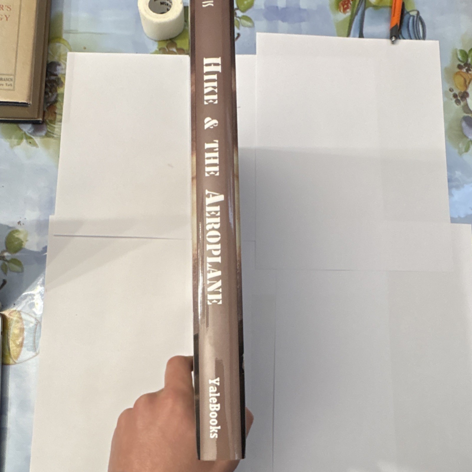 Hike and the Aeroplane Sinclair Lewis Tom Graham YaleBooks First Ed 1999 Hardco…