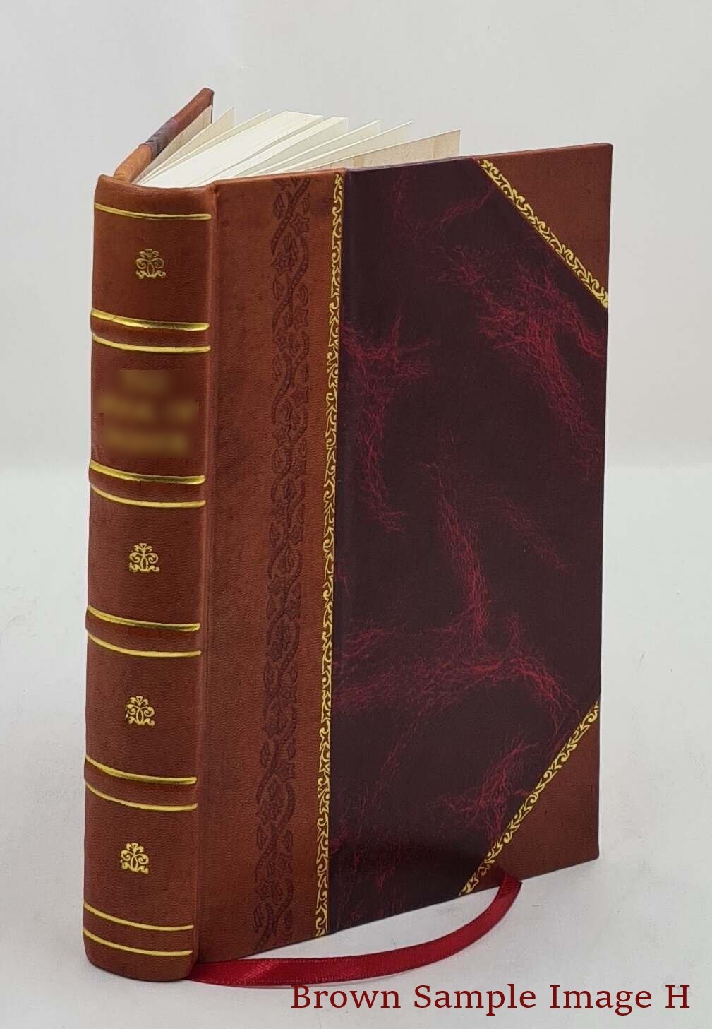 Actinida. Bd. 5,[2] 1890 by Danielssen, D. C. [Leather Bound]