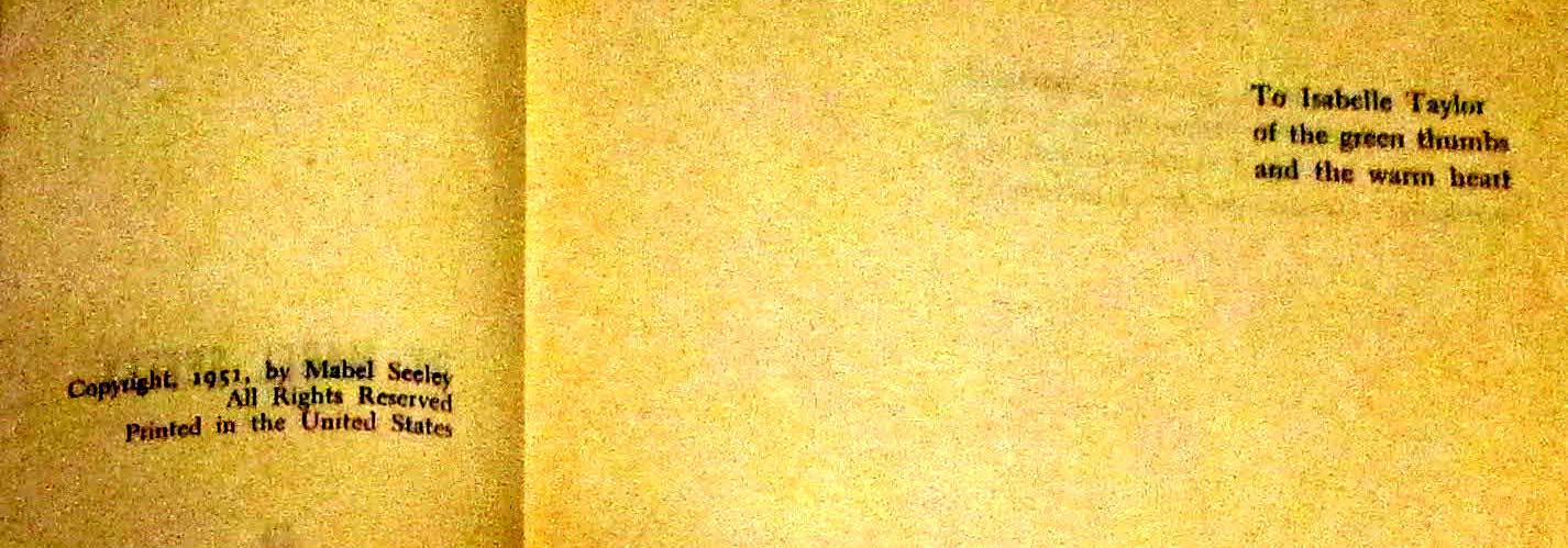 1951 The Stranger Beside Me by Mabel Seeley H/C D/J First Edition 272 Pages