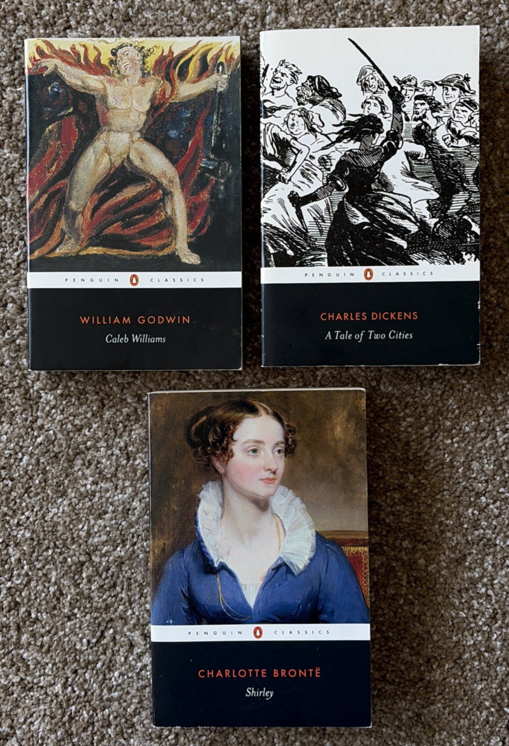 Lot Of 17 Penguin Classics Paperback Du Bois, Dante, Sinclair Lewis *VERY GOOD*