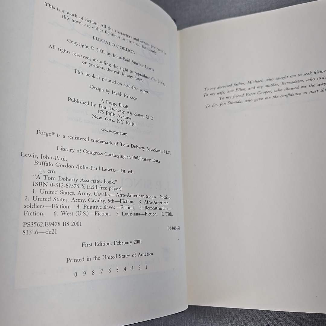 Buffalo Gordon J P Sinclair Lewis 2001 Vintage Hardcover Book HCDJ