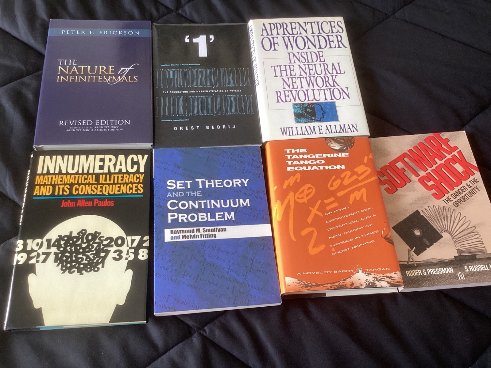 Lot of 8 Books, Software, Informational Technologies, Set Theory, Infinitesimals