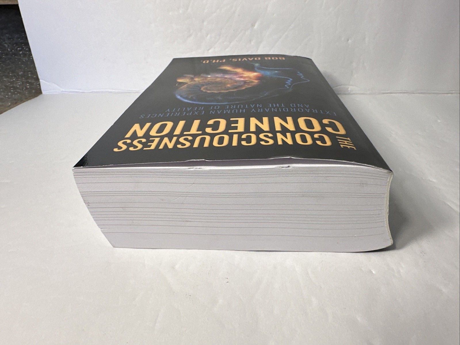 The Consciousness Connection by Bob Davis (Paperback, 2024, UNMARKED!)