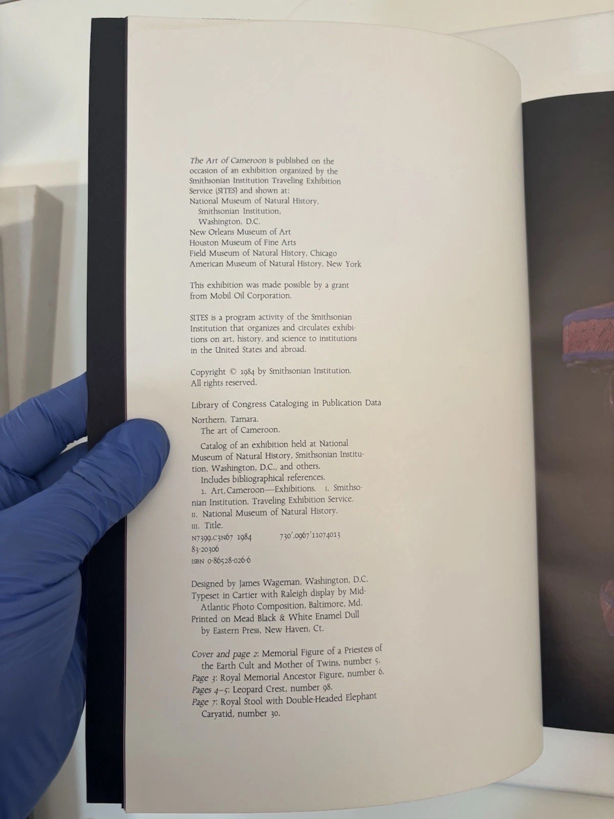 The Art of Cameroon | Tamara Northern | Smithsonian African Art PB