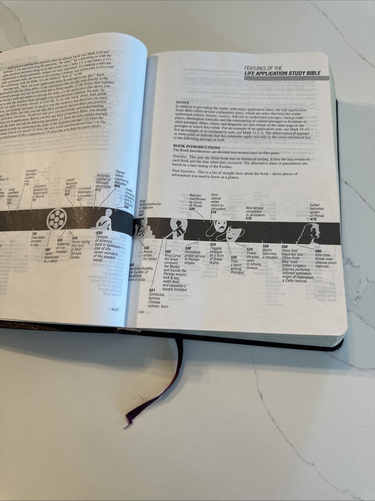 NIV Life Application Study Bible Burgundy Bonded Leather