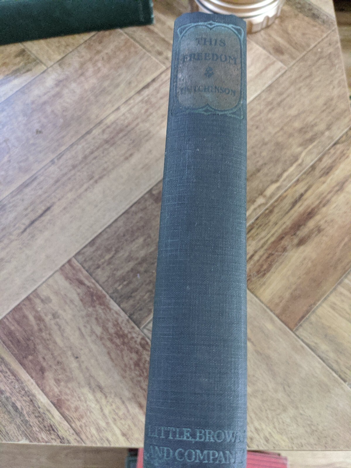 “THIS FREEDOM” by A.S.M. HUTCHINSON Hardcover Novel (1922) 372-pages