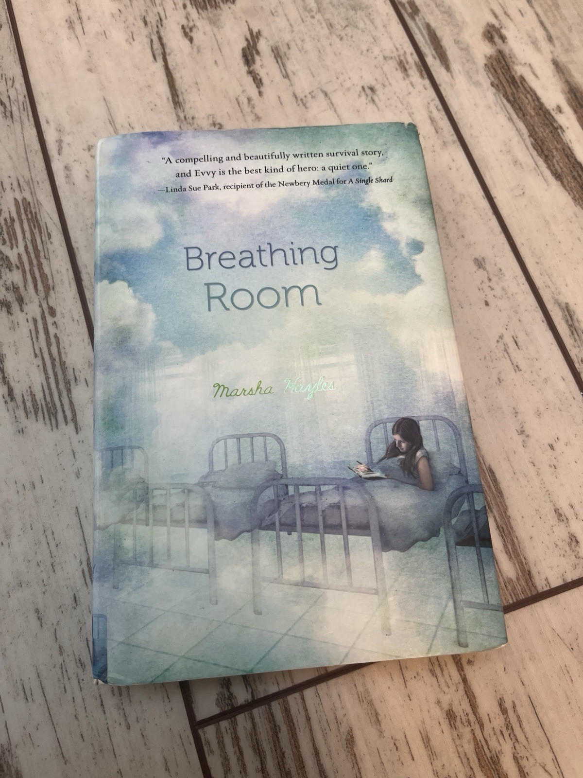 Breathing Room by Marsha Hayles – Gently Used Hardcover, 244 Pages, Young Adult
