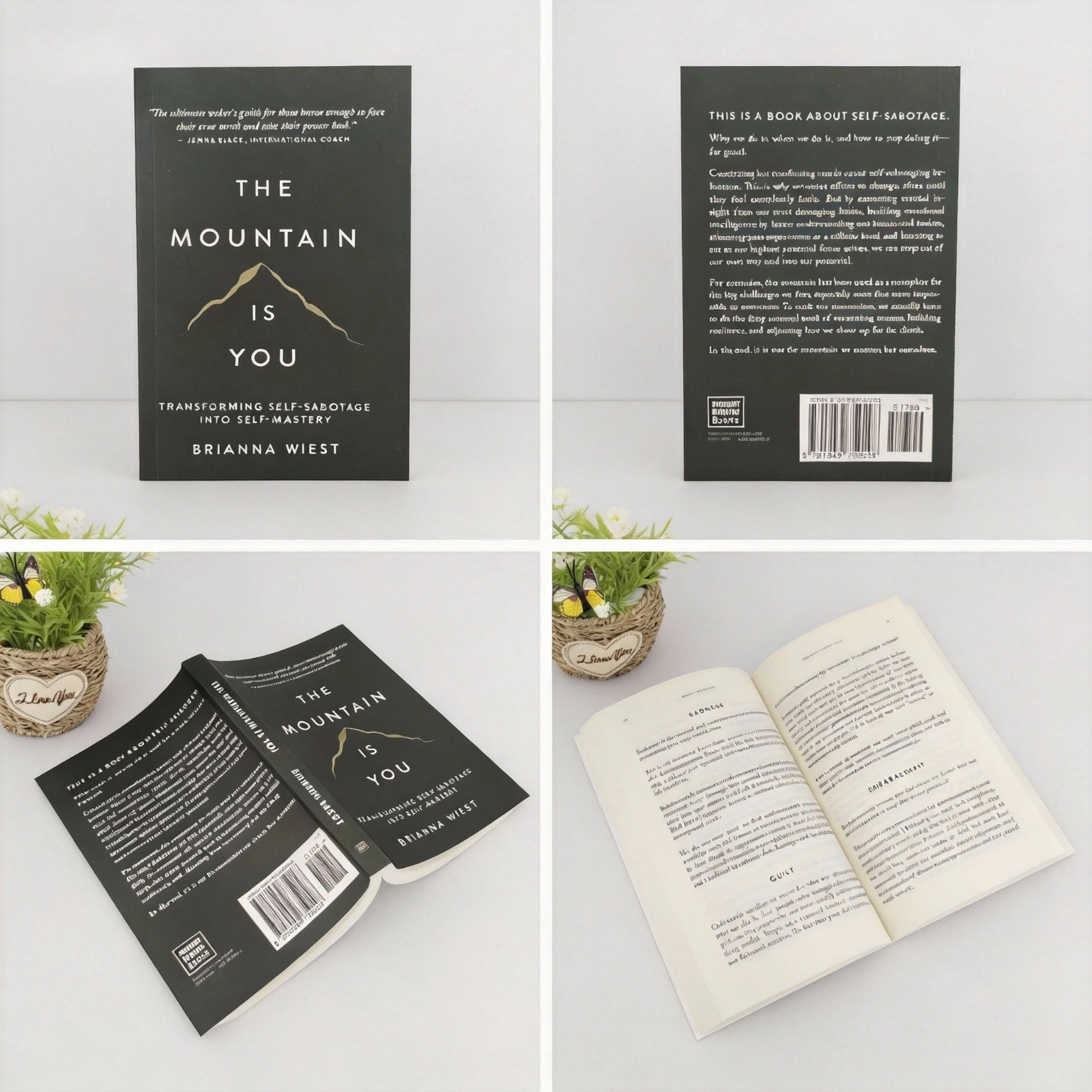 The Mountain Is You: Transforming Self-Sabotage Into Self-Mastery AU