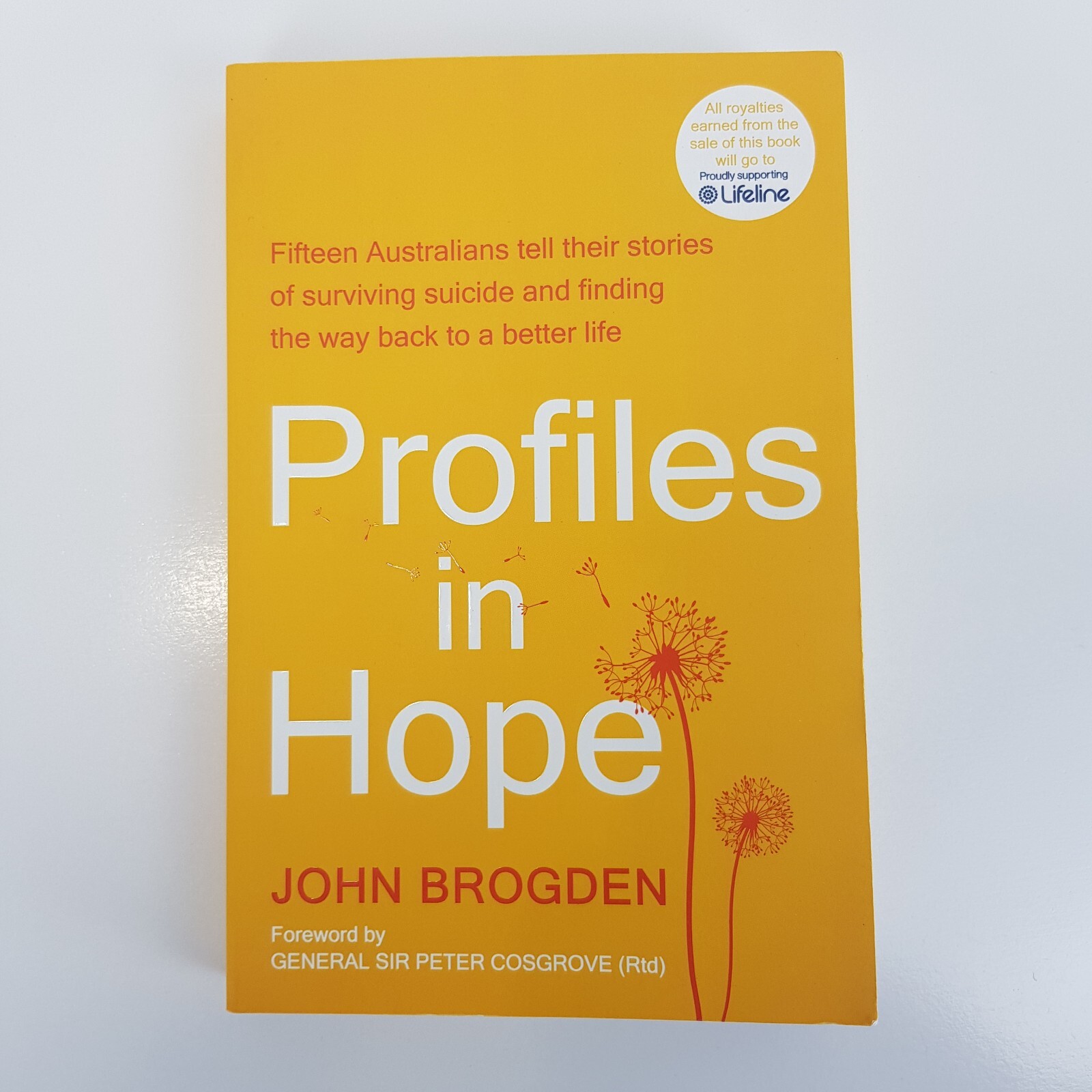 Profiles in Hope By John Brogden (Med PB 2024) Fifteen Stories Surviving Suicide