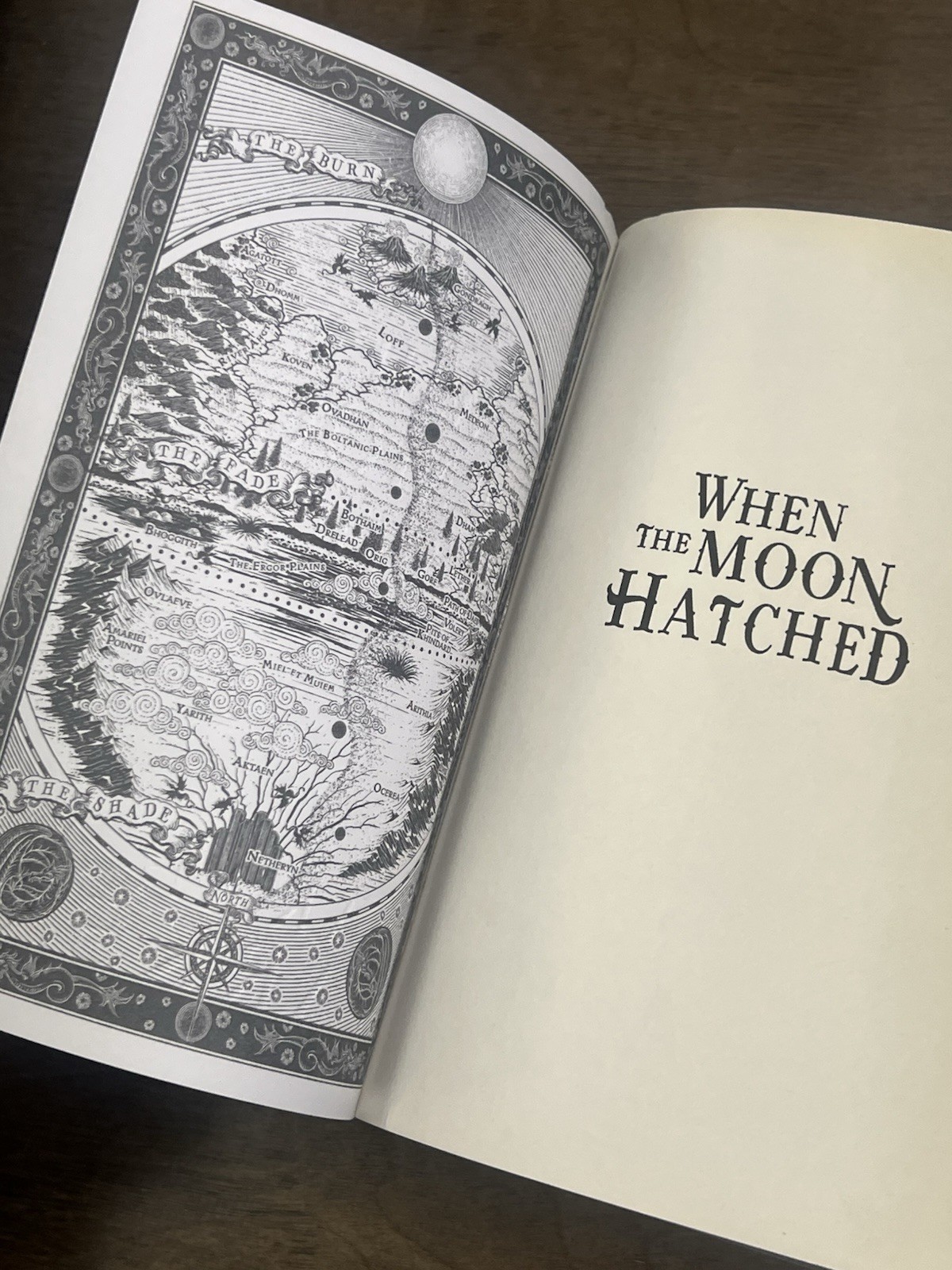 When the Moon Hatched : A Novel by Sarah A. Parker (2024, Trade Paperback)