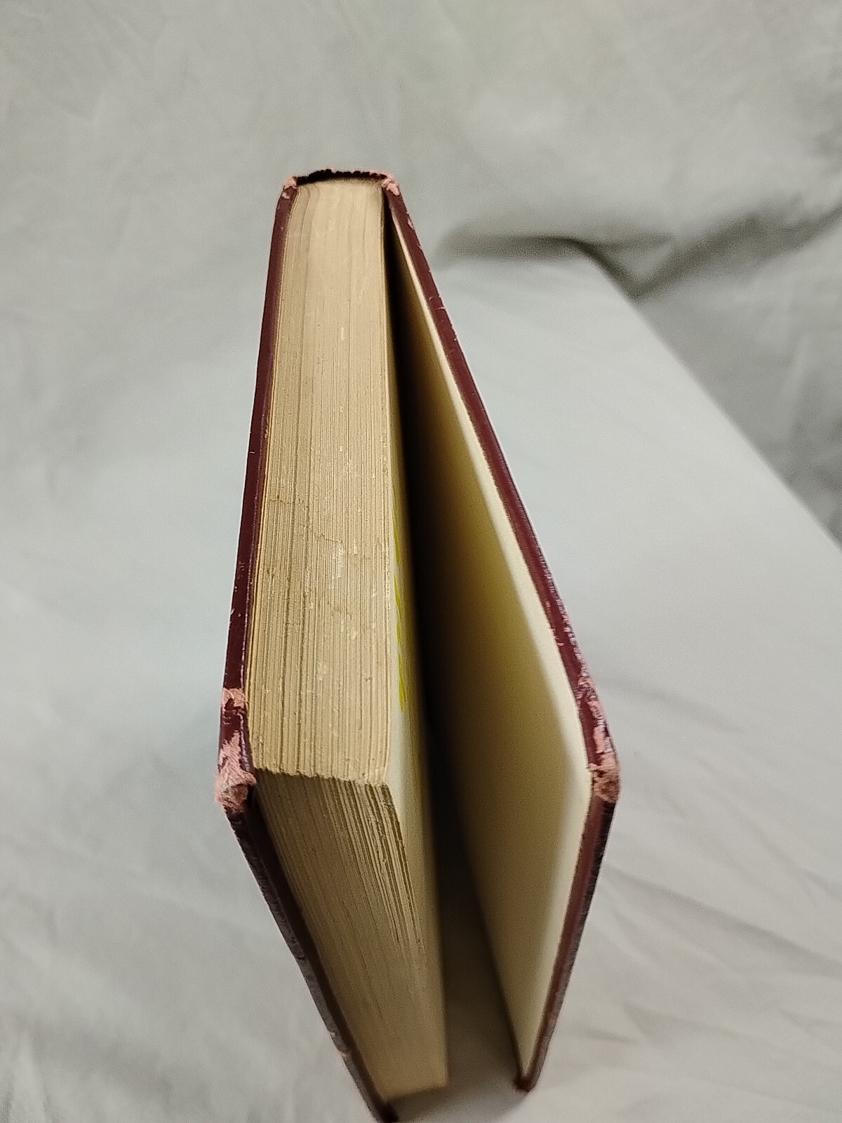 Dictionary of Musical Terms Theo. Baker Ph.D Pub 1923 Schirmer Antique Hardback