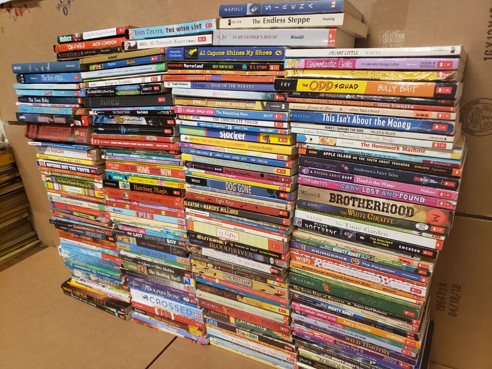 Books by Genre 20 LBS (Pounds) Box Value Lot Sorted Fiction/Nonfiction HB/PB SET